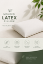 Molded Latex Pillow